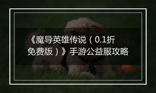 《魔导英雄传说（0.1折免费版）》手游公益服攻略