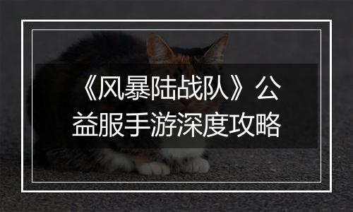 《风暴陆战队》公益服手游深度攻略