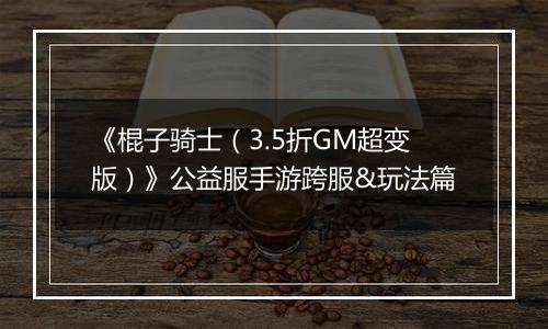 《棍子骑士（3.5折GM超变版）》公益服手游跨服&玩法篇