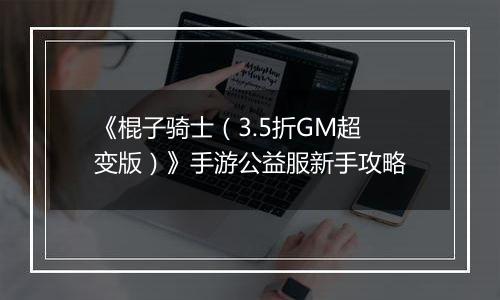 《棍子骑士（3.5折GM超变版）》手游公益服新手攻略