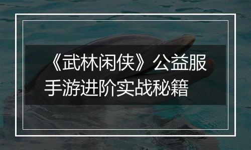 《武林闲侠》公益服手游进阶实战秘籍