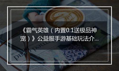 《霸气英雄（内置0.1送极品神宠）》公益服手游基础玩法介绍