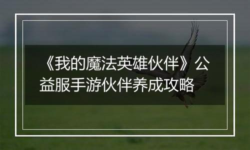 《我的魔法英雄伙伴》公益服手游伙伴养成攻略
