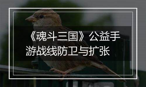 《魂斗三国》公益手游战线防卫与扩张