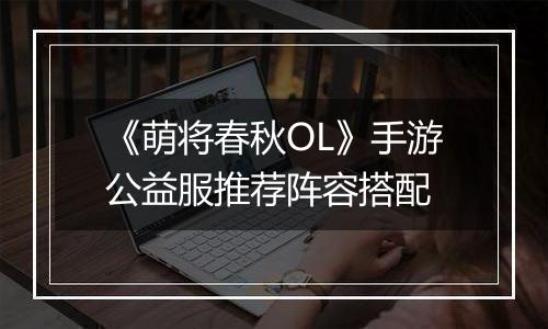 《萌将春秋OL》手游公益服推荐阵容搭配