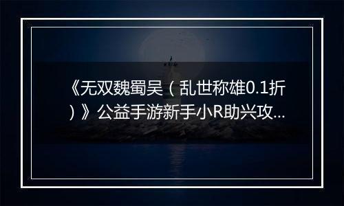 《无双魏蜀吴（乱世称雄0.1折）》公益手游新手小R助兴攻略