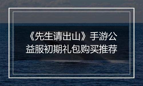 《先生请出山》手游公益服初期礼包购买推荐