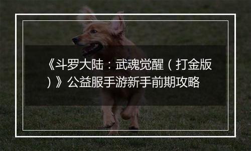 《斗罗大陆：武魂觉醒（打金版）》公益服手游新手前期攻略