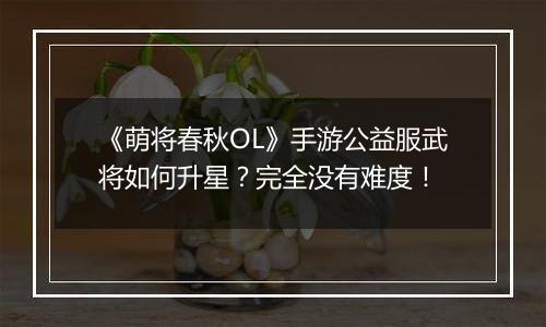 《萌将春秋OL》手游公益服武将如何升星？完全没有难度！