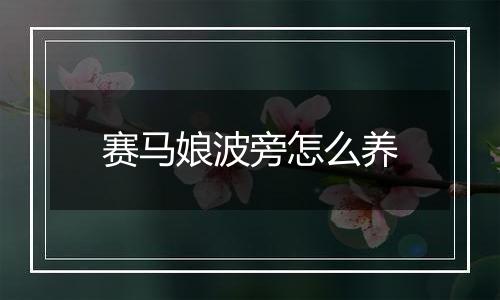 赛马娘波旁怎么养