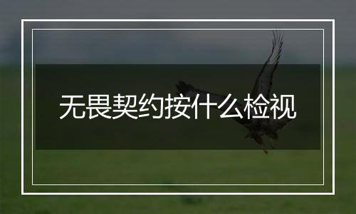 无畏契约按什么检视