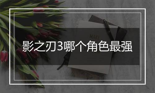 影之刃3哪个角色最强