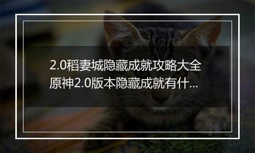 2.0稻妻城隐藏成就攻略大全 原神2.0版本隐藏成就有什么