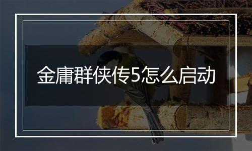 金庸群侠传5怎么启动