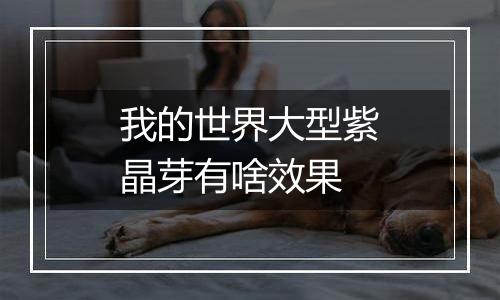 我的世界大型紫晶芽有啥效果