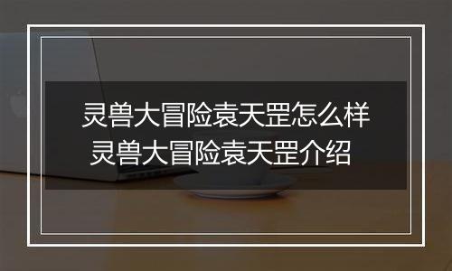 灵兽大冒险袁天罡怎么样 灵兽大冒险袁天罡介绍