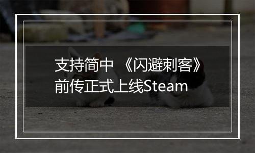 支持简中 《闪避刺客》前传正式上线Steam