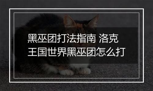 黑巫团打法指南 洛克王国世界黑巫团怎么打