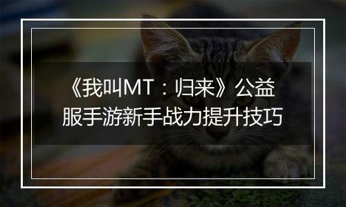 《我叫MT：归来》公益服手游新手战力提升技巧