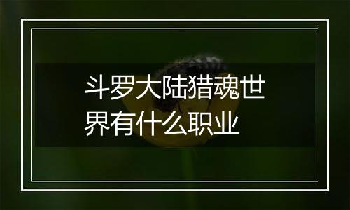 斗罗大陆猎魂世界有什么职业