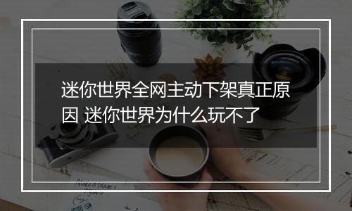 迷你世界全网主动下架真正原因 迷你世界为什么玩不了