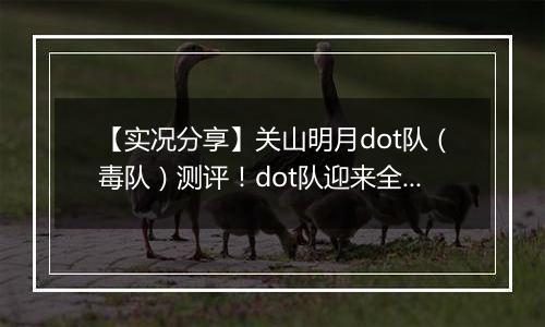 【实况分享】关山明月dot队（毒队）测评！dot队迎来全新的春天？