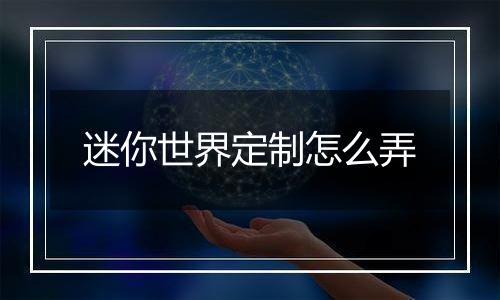 迷你世界定制怎么弄