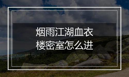 烟雨江湖血衣楼密室怎么进
