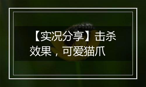 【实况分享】击杀效果，可爱猫爪