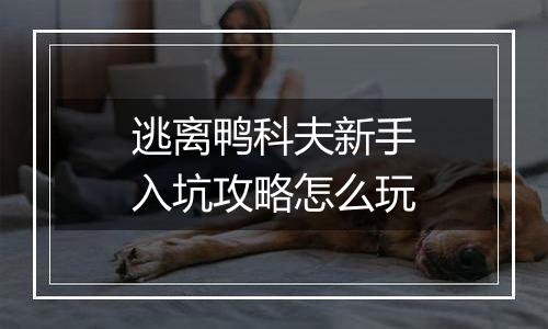 逃离鸭科夫新手入坑攻略怎么玩
