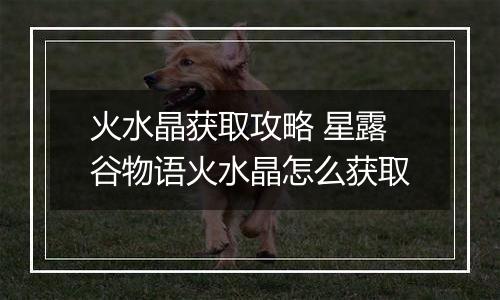 火水晶获取攻略 星露谷物语火水晶怎么获取