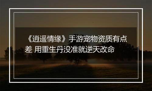 《逍遥情缘》手游宠物资质有点差 用重生丹没准就逆天改命