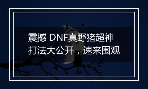 震撼 DNF真野猪超神打法大公开，速来围观