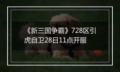 《新三国争霸》728区引虎自卫28日11点开服