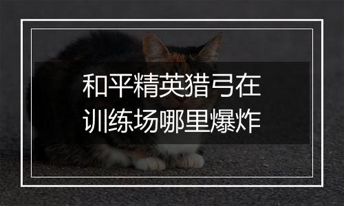 和平精英猎弓在训练场哪里爆炸