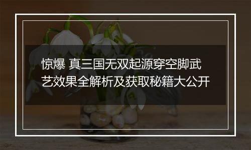 惊爆 真三国无双起源穿空脚武艺效果全解析及获取秘籍大公开