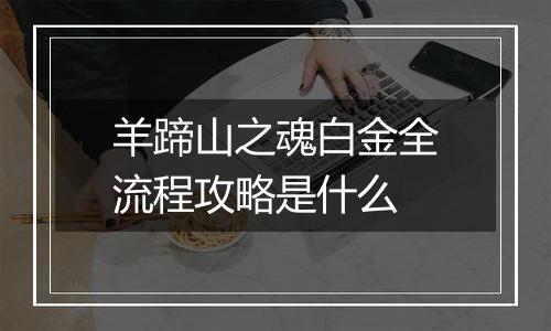 羊蹄山之魂白金全流程攻略是什么
