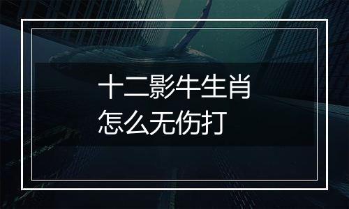 十二影牛生肖怎么无伤打