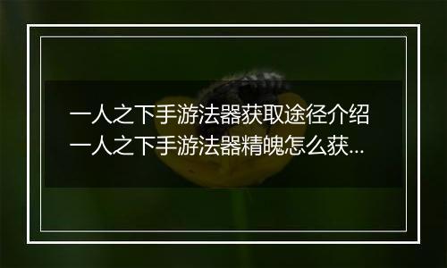 一人之下手游法器获取途径介绍 一人之下手游法器精魄怎么获取