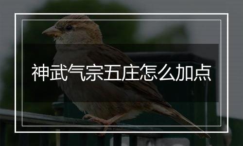 神武气宗五庄怎么加点