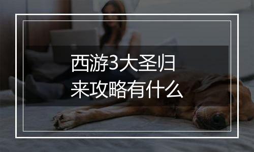 西游3大圣归来攻略有什么