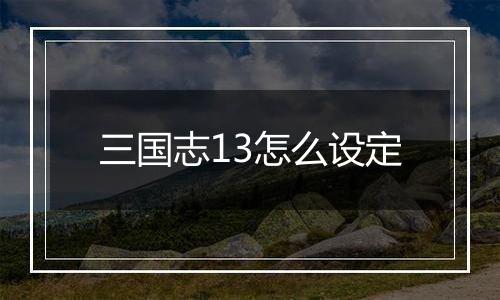 三国志13怎么设定