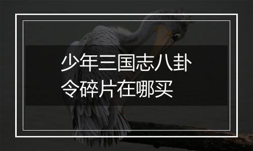 少年三国志八卦令碎片在哪买