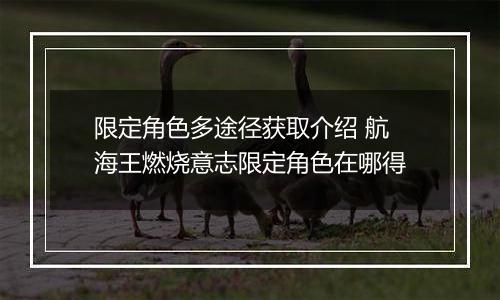 限定角色多途径获取介绍 航海王燃烧意志限定角色在哪得