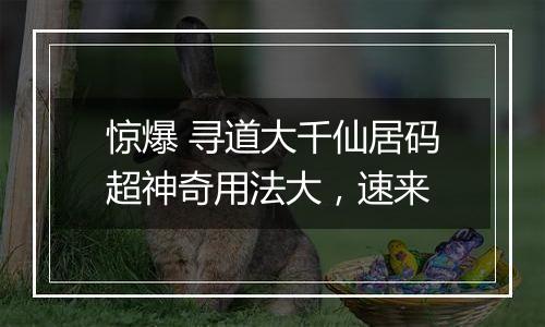 惊爆 寻道大千仙居码超神奇用法大，速来