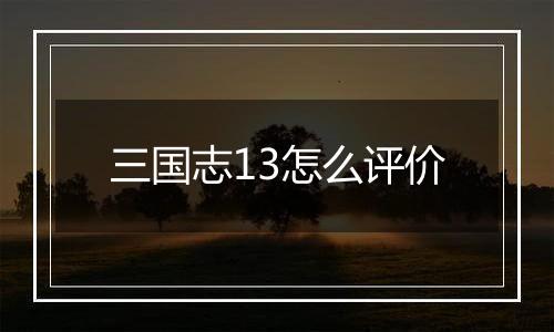 三国志13怎么评价