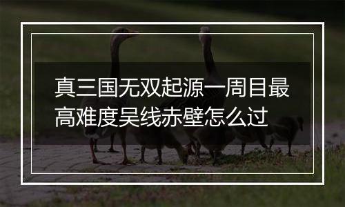 真三国无双起源一周目最高难度吴线赤壁怎么过