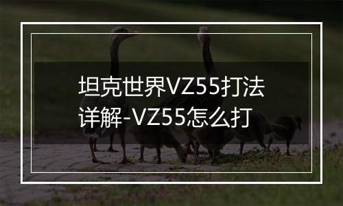 坦克世界VZ55打法详解-VZ55怎么打