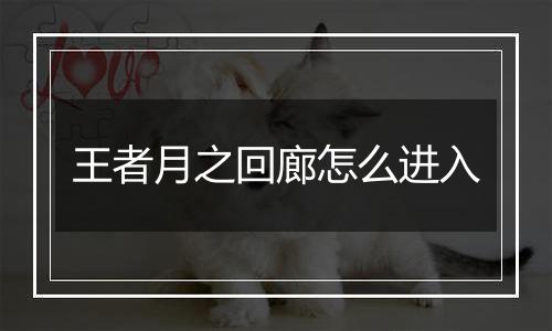 王者月之回廊怎么进入