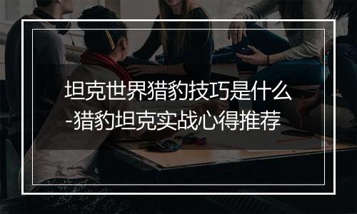 坦克世界猎豹技巧是什么-猎豹坦克实战心得推荐